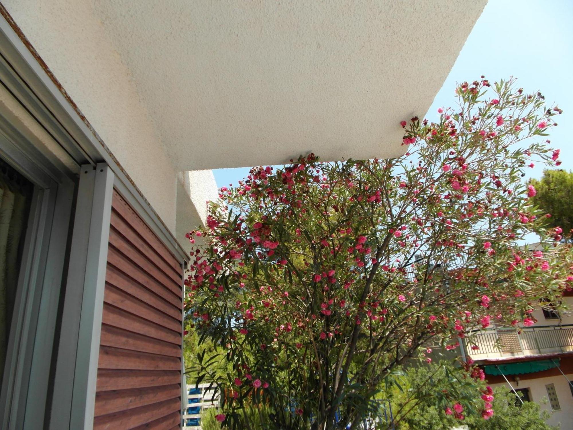 Eri Studios Agia Marina  ห้อง รูปภาพ
